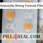 Anaconda Strong Formula Pills 24
